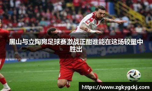 黑山与立陶宛足球赛激战正酣谁能在这场较量中胜出